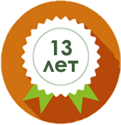 13 лет company